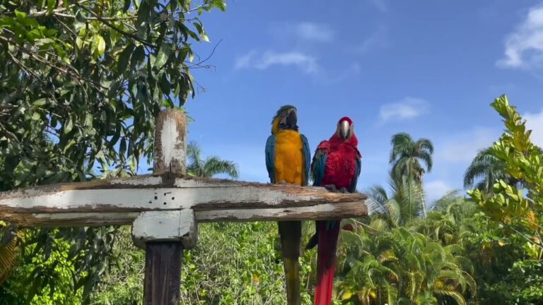 Las mejores terrazas en Puente del Arzobispo